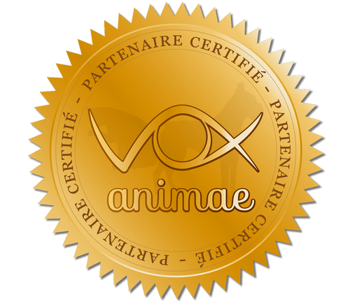 Logo Vox Animae