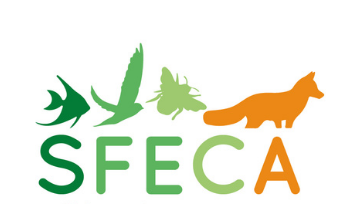 Logo SFECA